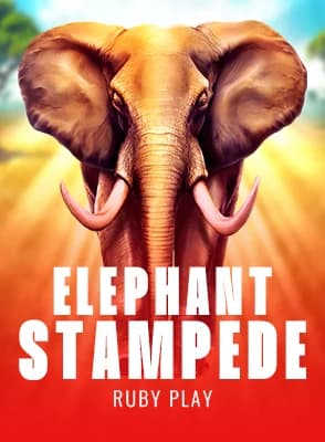 Elephant Stampede