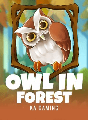 Owl In Forest
