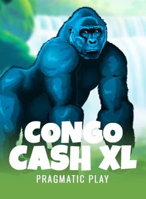 Congo Cash XL
