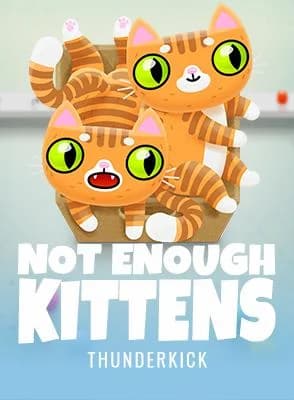 Not Enough Kittens
