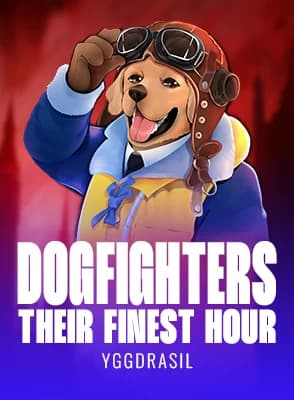 Dogfighters – Their Finest Hour