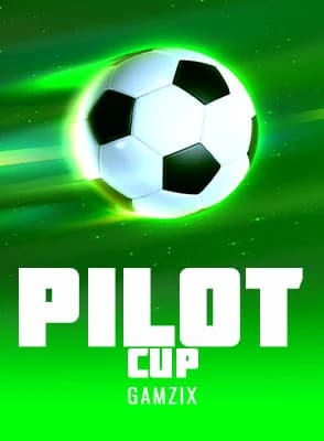 Pilot Cup