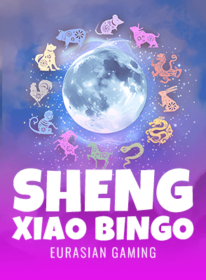 Sheng Xiao Bingo