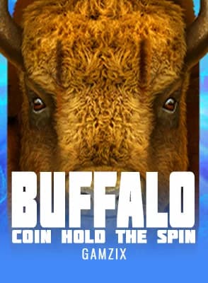 Buffalo Coin