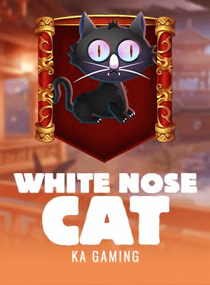 White Nose Cat