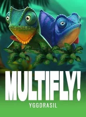 MultiFly!