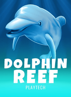 Dolphin Reef