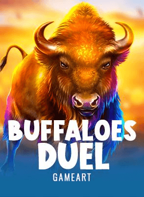 Buffaloes Duel