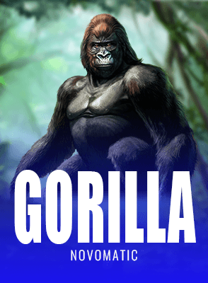 Gorilla