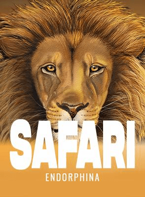 Safari