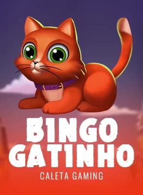 Bingo Gatinho