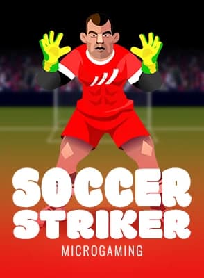 Soccer Striker