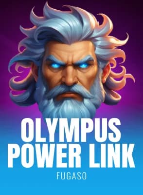 Olympus Power Link