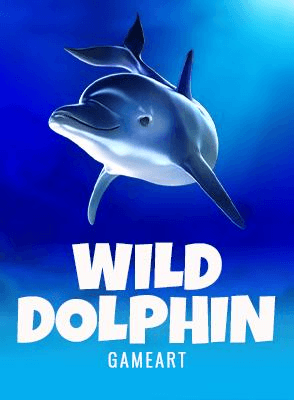 Wild Dolphin