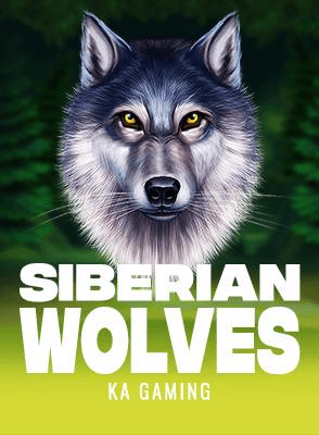 Siberian Wolves