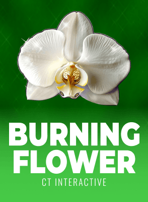 Burning Flower